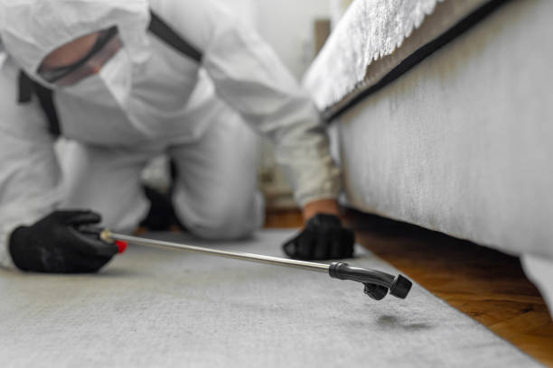 Professional Bed Bug Control technician working in Berryville, AR